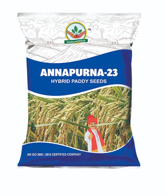 ANNAPURNA-23 Hybrid Paddy Seeds